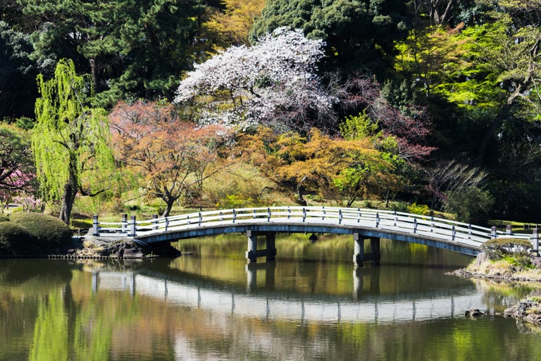 Intestinal cancer survivor story — Mr. Nakaro, Miyagi, Japan