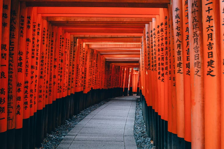 Stomach cancer survivor story — Mr. Nosaki, Tokyo, Japan