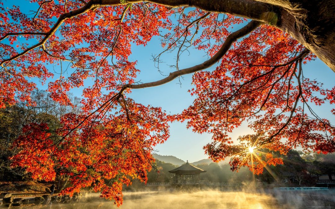 Lung cancer survivor story: a patient saw a lung tumor shrink in four months with Tian Xian Liquid.
