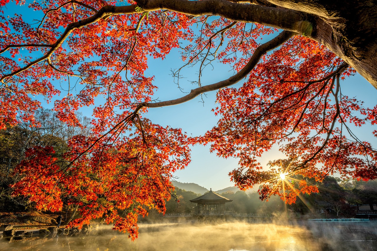 Lung cancer survivor story: a patient saw a lung tumor shrink in four months with Tian Xian Liquid.