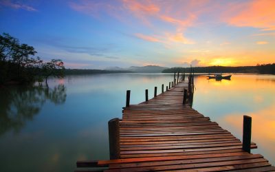 Lung Cancer Survivor Story: Weight Gain and Improvement with Tian Xian